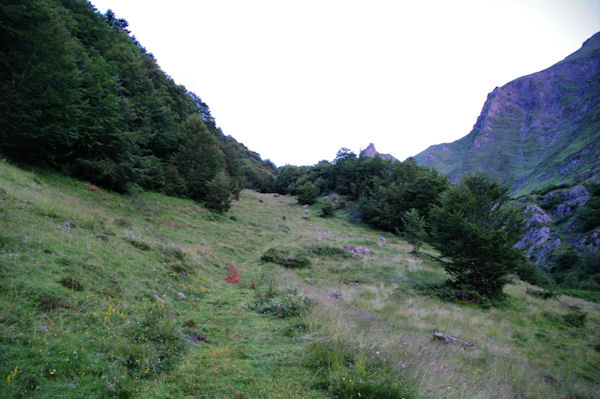 Le chemin au dessus des goules