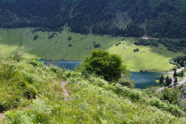 Le Lac du Tech