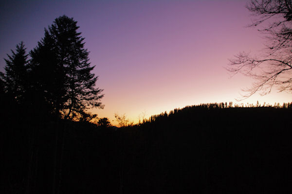 Lever de soleil dans le Bois de la Plape