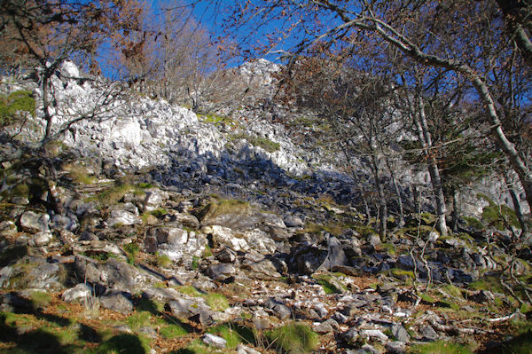 La monte au Pic de Navaillo dans les bois