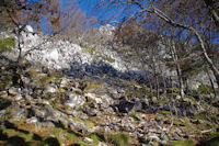 La monte au Pic de Navaillo dans les bois