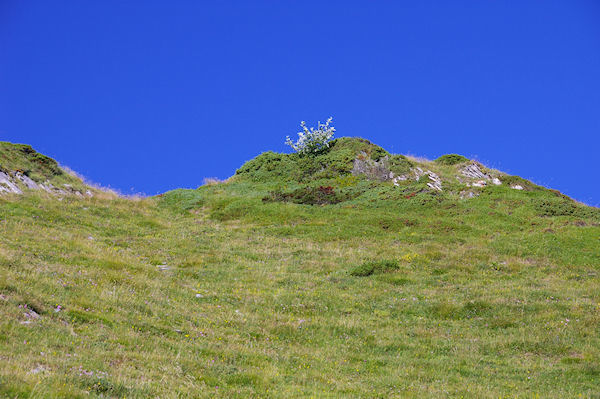 La crte Nord du Pic de Bergons