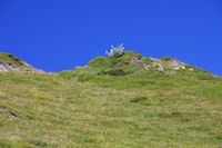 La crte Nord du Pic de Bergons