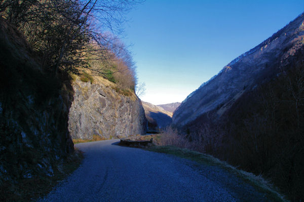La route du Tech