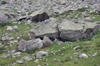 Une toue dans la vallee du gave de Cambales