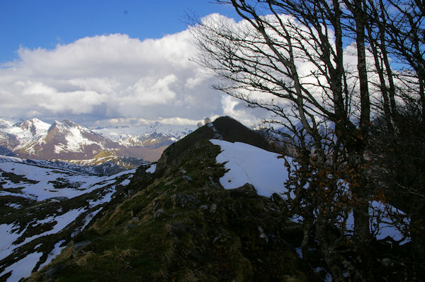 La crte menant au Pic de Cantau