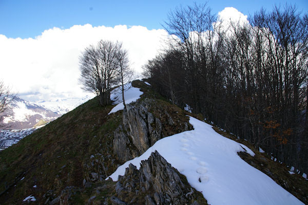 La crte menant au Pic de Cantau