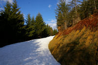 Le chemin montant au Col de la Serre