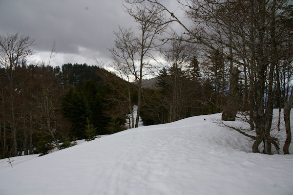 En descendant vers le Col de la Serre