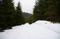 En descendant vers le Col de la Serre