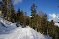 Le chemin montant au Col de Bazs