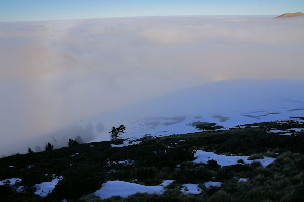 Ombre porte du Cap Nests sur la mer de nuages