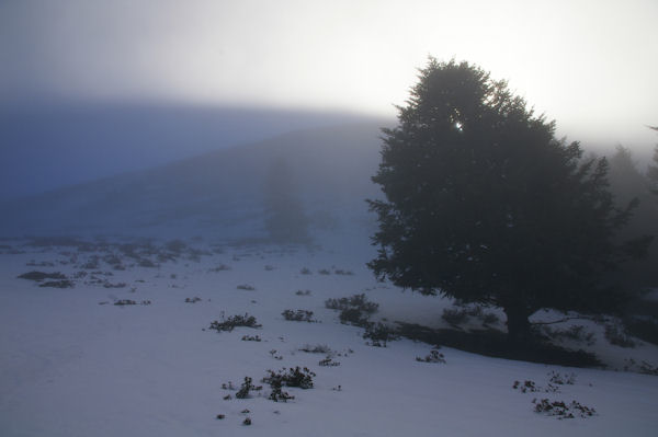 Le soleil joue avec la brume sous le Cap Nests