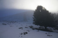 Le soleil joue avec la brume sous le Cap Nestes