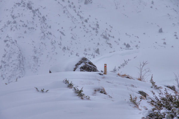 Sur les crtes de Bernet