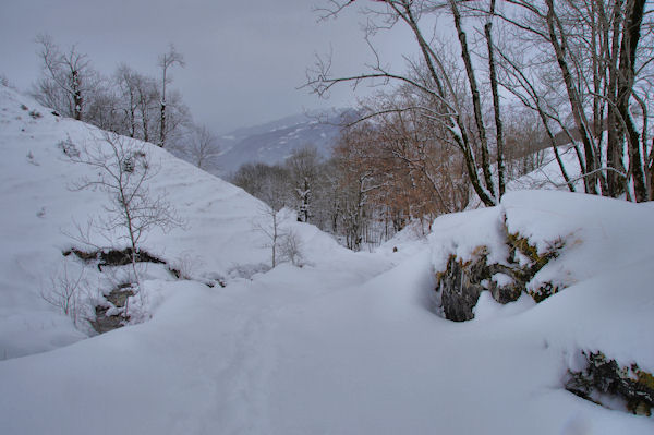 Le chemin de la reine Hortence sous Camlas