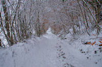 Le chemin de la reine Hortence