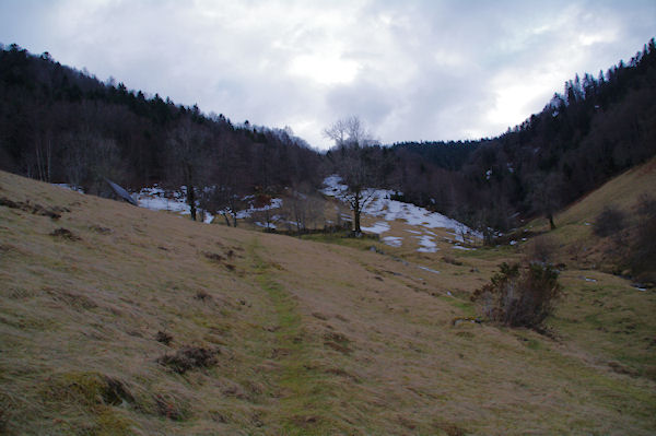 Le vallon du Riutou