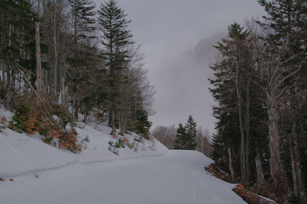 Juste avant le Col de Bazs