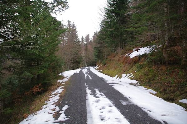 La route cheminant au dessus du ruisseau du Bergons