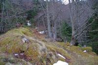 Le chemin remontant vers le Col de Couret