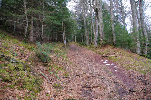 Le chemin remontant vers le Col de Couret