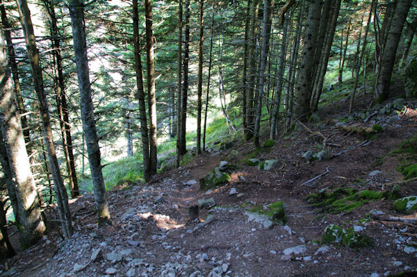 Passage dans la fort au dessus de la centrale de Migoulou