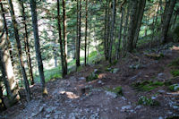 Passage dans la foret au dessus de la centrale de Migouelou