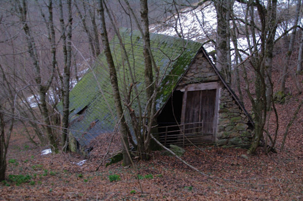 Une grange  Curedus dans la fort