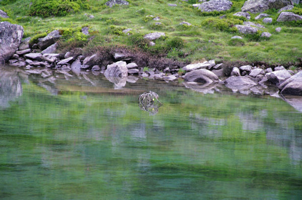 Les eaux vertes du Lac de Suyen