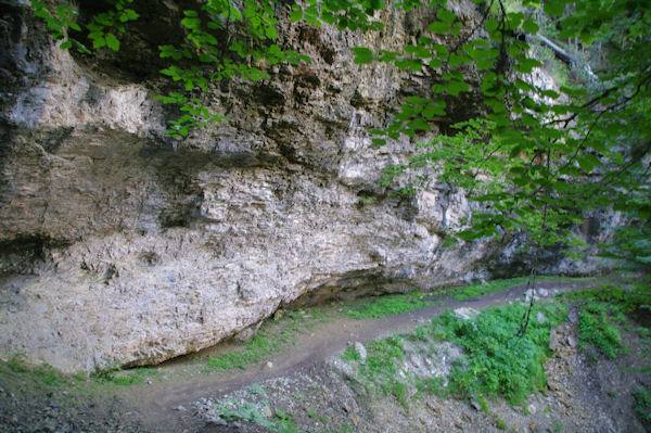 Le sentier  flanc au dessus du Bois d_Arribama