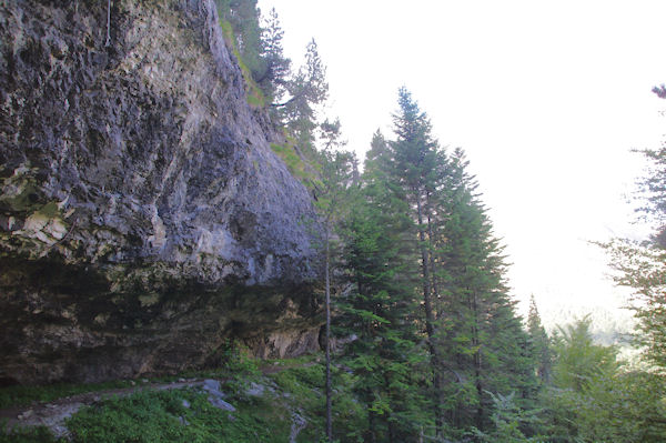 Le sentier  flanc au dessus du Bois d_Arribama