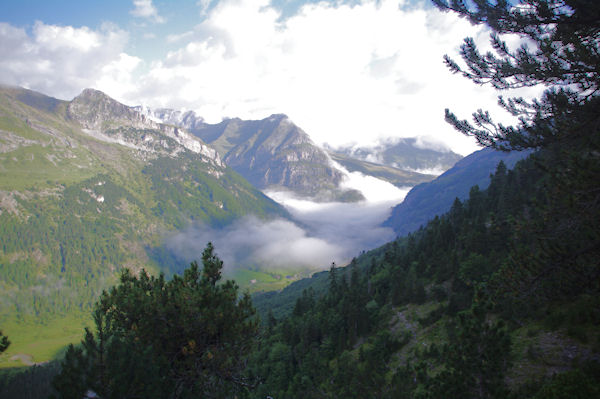 La valle de Gavarnie depuis le Bois d_Arribama