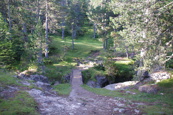 La passerelle pour passer rive gauche du ruisseau de Pailla