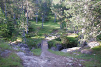 La passerelle pour passer rive gauche du ruisseau de Pailla