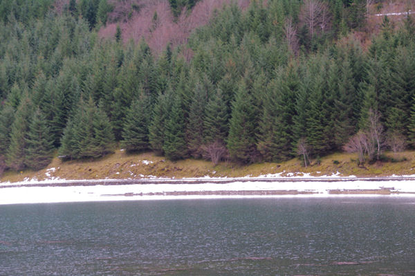 Le Lac d_Estaing depuis l_Oule