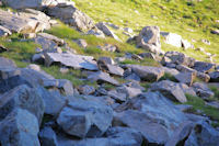 Une marmote au fond du vallon d_Estaragne