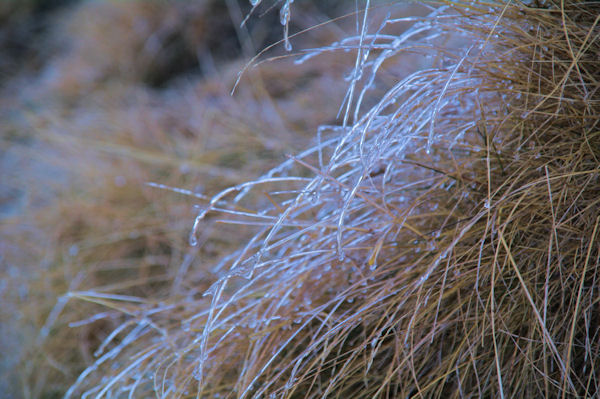 C_est pas de l_eau mais de la glace