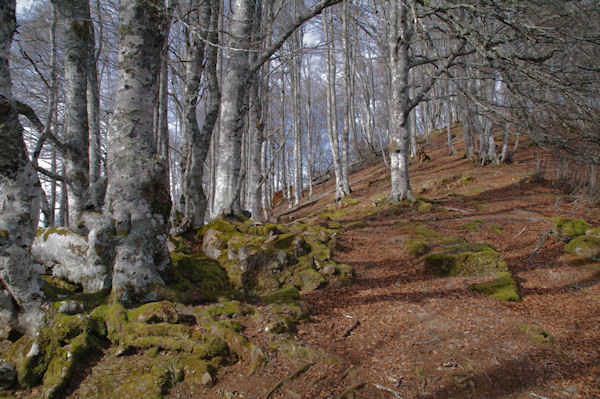 La fort sous le Roc de Manoula