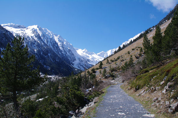 Le chemin menant au Lac de gaube, au fond, le Pic d_Arraill