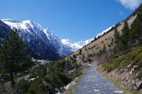 Le chemin menant au Lac de gaube, au fond, le Pic d_Arraill