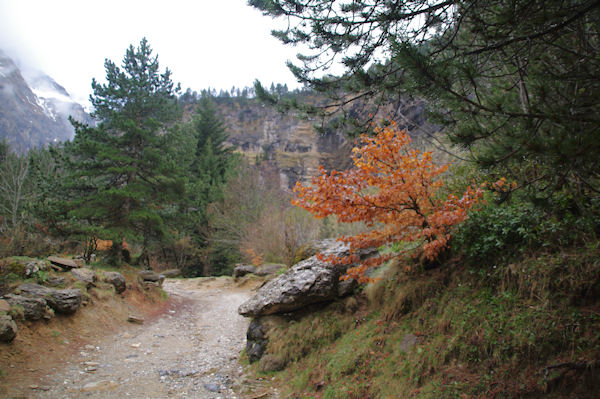 En remontant vers l_Hotellerie du Cirque