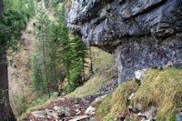 Le chemin escarp au dessus du Bois d_Arribama