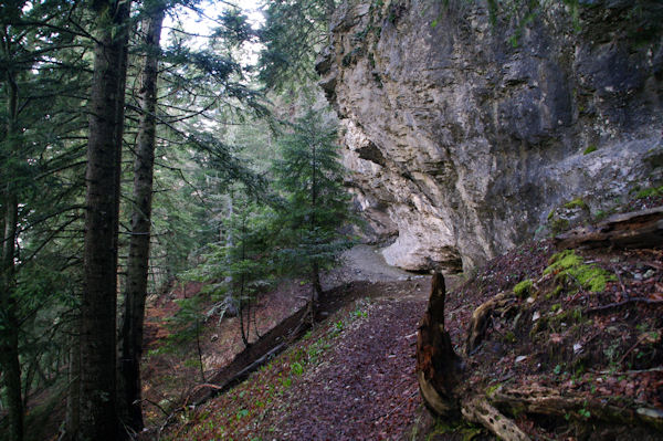 Le chemin sous le Bdrou