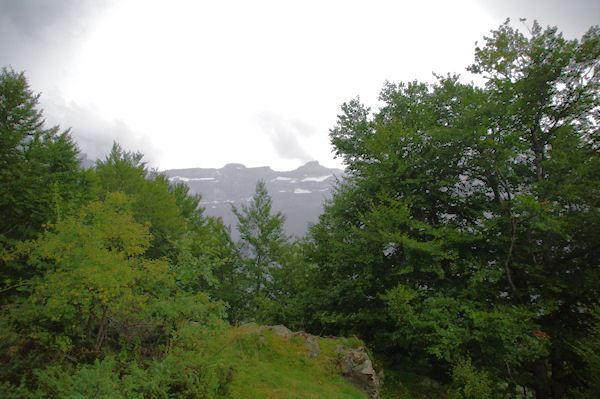 La Casque et la Tour du Marbor depuis le Bois de Pailla