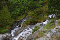 Le torrent de la Glre