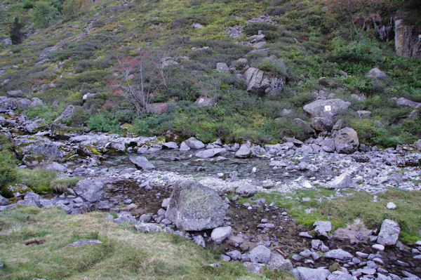 Petit laquet sur le Gave de Labat de Bun