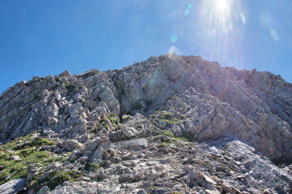 La crte de Pne Blanque