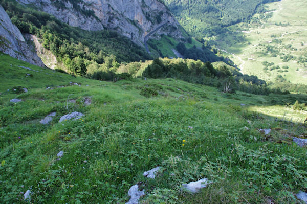 La rude descente du vallon infrieur de l_Arriou de l_Escala vers la route du Col d_Aubisque