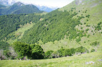 Le vallon Sud sous le Soum de las Escures